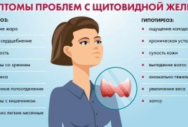Работа щитовидной железы